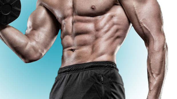 Abdominal muscle plasters