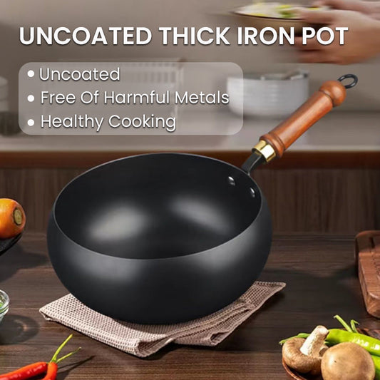 🔥 LIMITED OFFER: 50% off our heavy cast iron pot (uncoated)!🔥
